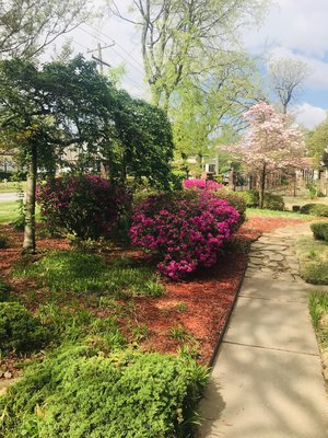 IMG_6961.jpeg