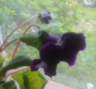 20190428_071904.jpg