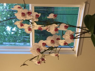 BDB3A57A-5478-4B1B-9FEC-D9F5C61CD057.jpeg
