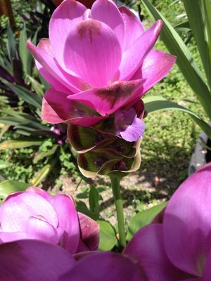 IMG_20190519_140809078.jpg