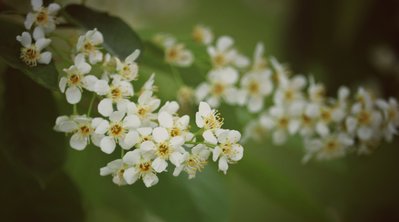 chair 055 (2)-01.jpeg