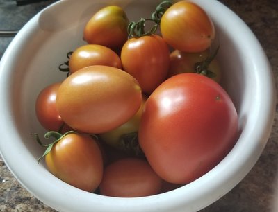 20190618_080555.jpg