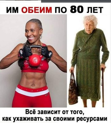 боди.jpg