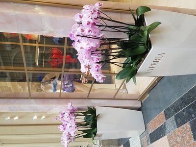 20190621_134915.jpg