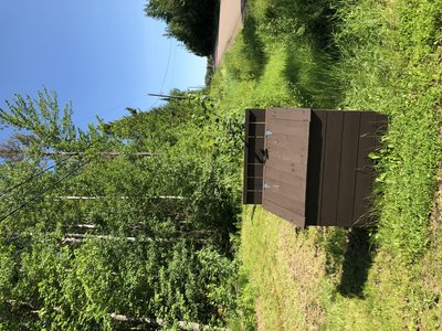 IMG_4857.jpeg