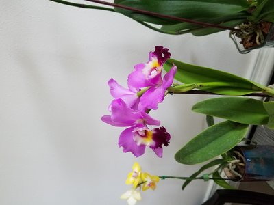 20190716_161533.jpg