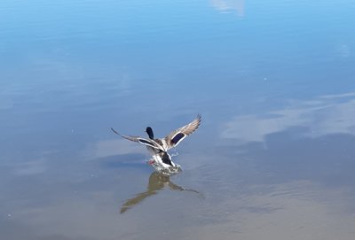 20190531_091753 (2).jpg