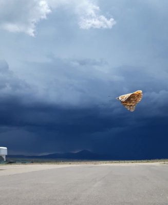 20190531_130928_Moment (2).jpg