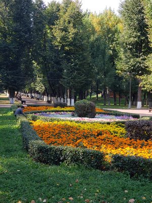 park.jpg