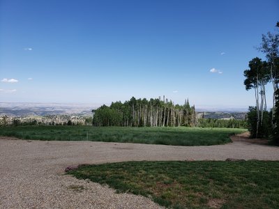 20190728_143447.jpg