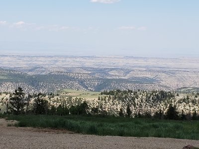 20190728_152201.jpg
