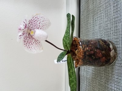 20190812_175013.jpg