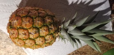 20190824_191740.jpg