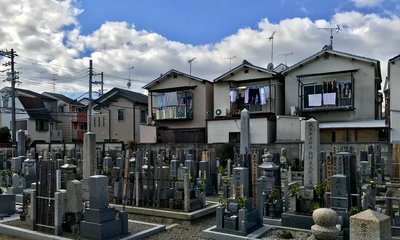 0D63D504-EF0C-4A8D-A241-9C7D3AB2B0DD.jpeg
