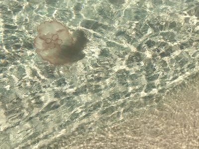 IMG_0667.JPG