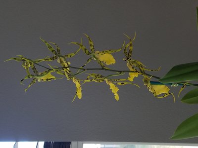 20190923_170139.jpg