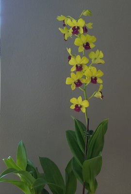 20190923_172224.jpg