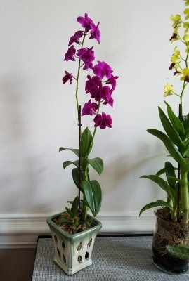 20190929_134817.jpg