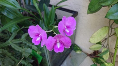 IMG-20191002-WA0001.jpg