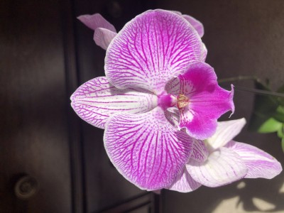 68044AD6-C4BF-4CAD-8D05-358A3D2C8184.jpeg