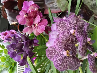20191116_113757.jpg