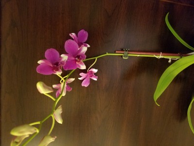 20191116_172441.jpg