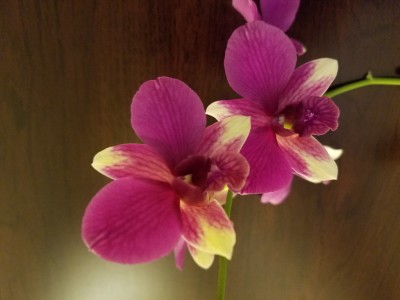 20191116_172452.jpg