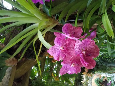20191116_120653.jpg