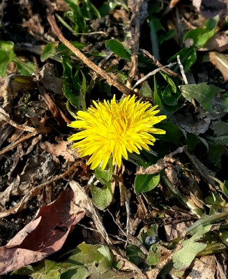 20191126_142318.jpg