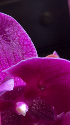 CF61B7C5-AB9D-497E-8217-E55619F18A4E.png