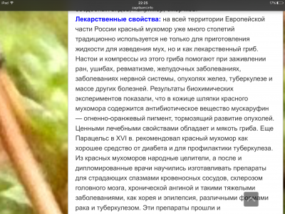 IMG_9287.PNG