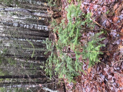 IMG_9306.JPG
