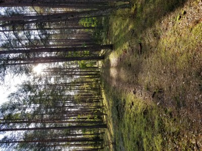 20190923_093720.jpg