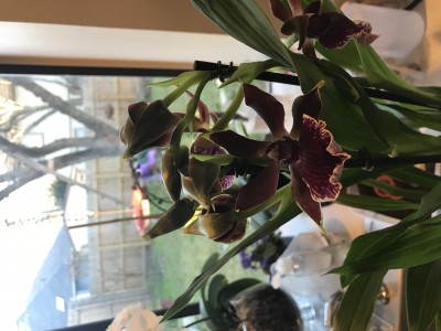 004019DE-50F9-4DB9-B210-F4DDF4D9776B.jpeg