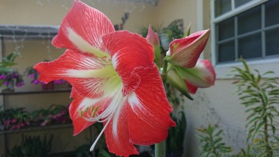 DSC_1372.JPG