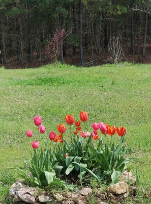 20200324_144826 copy.jpg