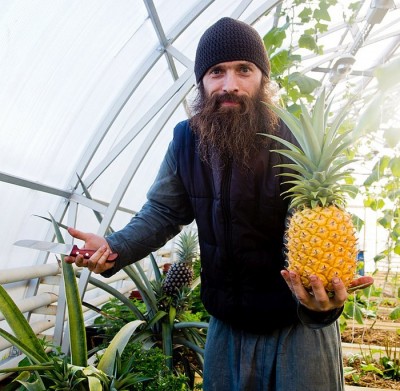 Ананас из ВМ.jpg