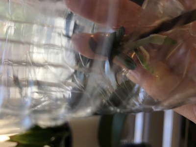 B189C485-8EEF-4601-93E5-CB00848232CB.jpeg