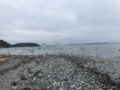E6938865-6D54-4F99-A033-F667D9CDDCD4.jpeg