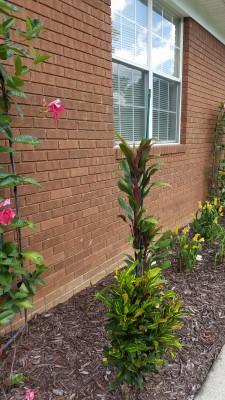20200726_124156.jpg